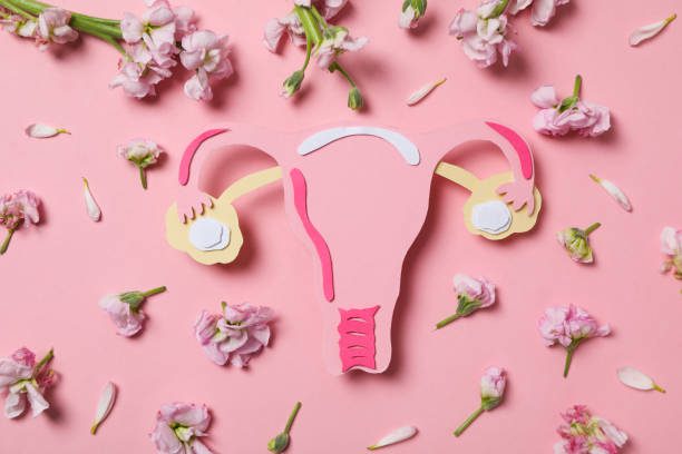 women's health and women's healthcare concept with uterus